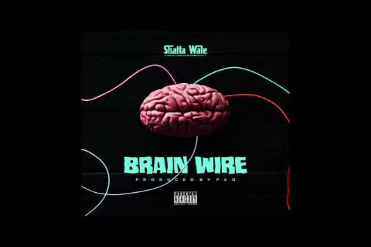 Shatta Wale Brain Wire