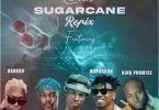 Camidoh Sugarcane Refix ft Mayorkun X King Promise X Darkoo Mixed By DJ Sonatty @Tmmotiongh.com