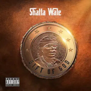 Shatta Wale – gog 1 Tmmotiongh.com