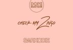 DopeNation – Check My Zingo Remix Ft. Sarkodie Prod By DopeNation Tmmotiongh.com
