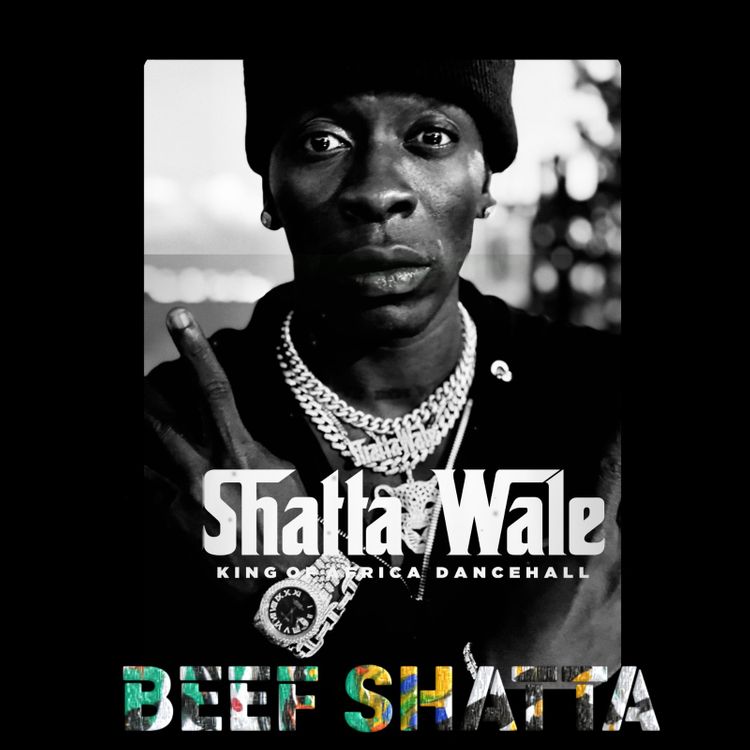 Shatta Wale – Beef Shatta Tmmotiongh.com