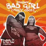 Stonebwoy – Bad Girl (Moliy Coco) Shake It To The Max (Freestyle)