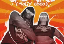 Stonebwoy – Bad Girl (Moliy Coco) Shake It To The Max (Freestyle)