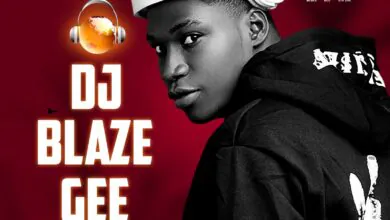 DJ Blaze Gee – Vibes On Vibes (DJ Mixtape)