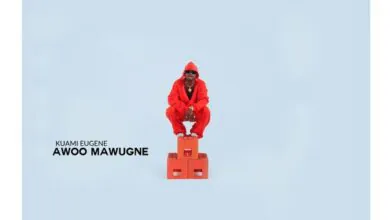 Kuami Eugene – Awoo Mawugne