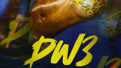 Skyface SDW – Dw3 Ft. Oseikrom Sikanii, Beeztrap KOTM, Pappy Kojo & Jay Bahd