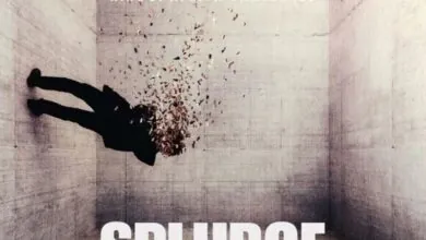 Shatta Wale – Splurge
