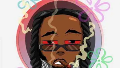 Naira Marley – Cartoon