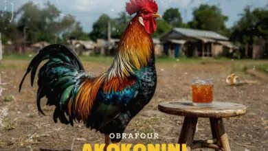 Obrafour – Akokonini Abro Nsa Ft. S.K.Y De Tamale Boy