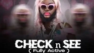 DJ Azonto – Check n See (Fully Active)
